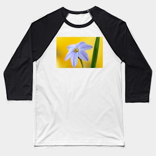 Ipheion  &#39;Rolf Fiedler&#39;  AGM  Spring starflower Baseball T-Shirt